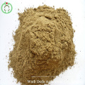 Fish Meal High Protein Animal Food